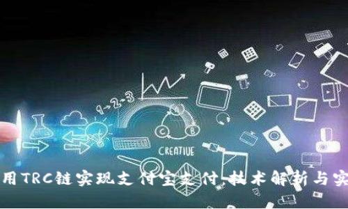 如何使用TRC链实现支付宝支付：技术解析与实用指南