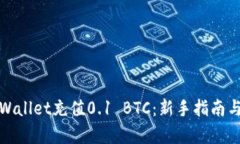 如何用tpWallet充值0.1 BTC：新手指南与实用技巧