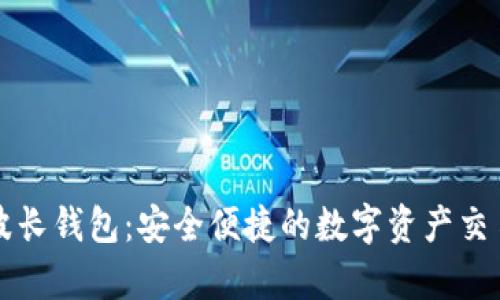 tpWallet波长钱包：安全便捷的数字资产交易解决方案