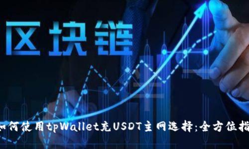  如何使用tpWallet充USDT主网选择：全方位指南