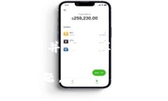   解决tpWallet不显示资产问题的终极指南 /  guanj