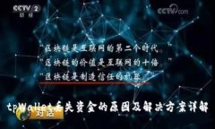 tpWallet丢失资金的原因及解决方案详解