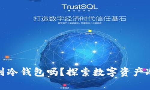 : 可以直接转账到冷钱包吗？探索数字资产冷钱包的实用指南