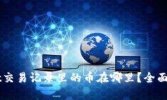 ### tpWallet交易记录里的币在哪里？全面解析及操