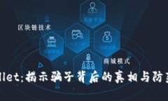 tpWallet：揭示骗子背后的真相与防范指南