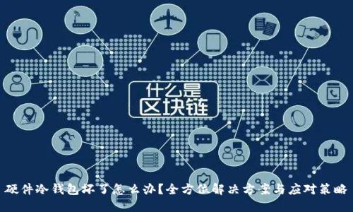硬件冷钱包坏了怎么办？全方位解决方案与应对策略