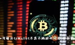 如何解决tpWallet不显示地址的问题：全面指南