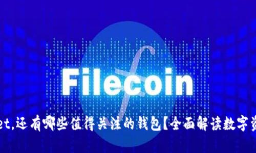 除了tpWallet，还有哪些值得关注的钱包？全面解读数字资产存储选择