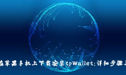如何在苹果手机上下载安装tpWallet：详细步骤与技巧