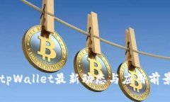 国内tpWallet最新动态与应用前景分析