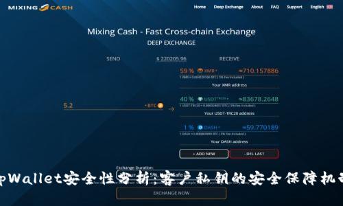 tpWallet安全性分析：客户私钥的安全保障机制