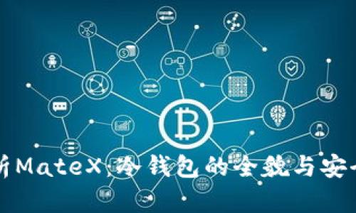 深入剖析MateX：冷钱包的全貌与安全性分析