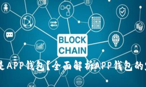 ## 什么是APP钱包？全面解析APP钱包的定义与应用