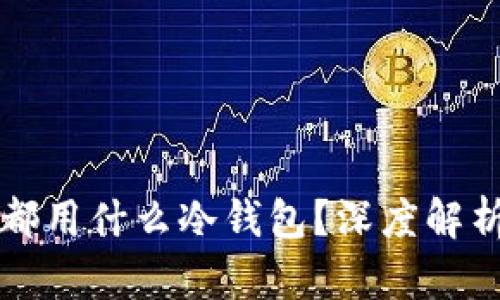 大佬们都用什么冷钱包？深度解析与推荐