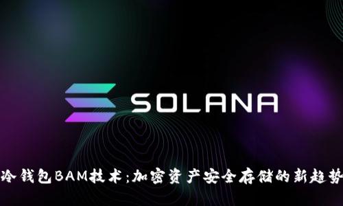 冷钱包BAM技术：加密资产安全存储的新趋势