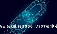 如何使用tpWallet进行5000 USDT的安全交易与管理