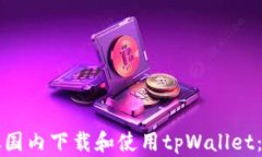 如何从国内下载和使用tpWallet：全指南