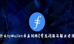 : 为什么tpWallet币未到账？常见问题及解决方法详