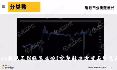 :tpWallet提现不到账怎么办？完整解决方案与常见问题解析