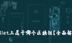 : xch在tpWallet上属于哪个区块链？全面解析与应用