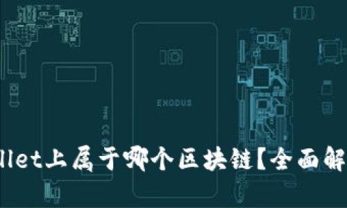 : xch在tpWallet上属于哪个区块链？全面解析与应用场景