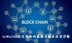 tpWallet延迟到账的原因与解决方案详解