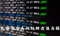 : 冷钱包密钥丢失的处理方法与预防策略