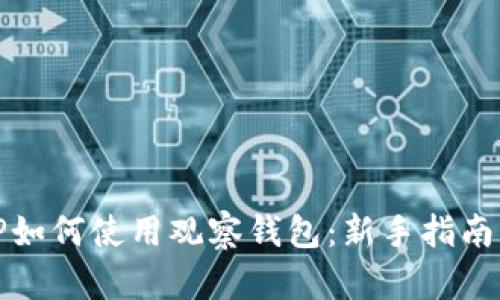 全面解析TP如何使用观察钱包：新手指南与实用技巧