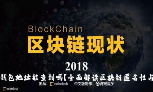 区块链钱包地址能查到吗？全面解读区块链匿名性与透明性