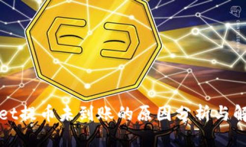 tpWallet提币未到账的原因分析与解决方案