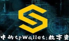 深度解析波场生态中的tpWallet：数字资产管理的最