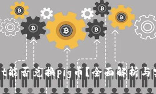 tpWallet能否兑换pig币？全面解析与实用指南