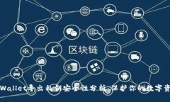 tpWallet导出私钥安全性分析：保护你的数字资产