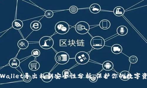 tpWallet导出私钥安全性分析：保护你的数字资产