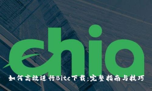 如何高效进行Bitc下载：完整指南与技巧