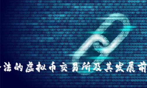 中国合法的虚拟币交易所及其发展前景解析