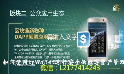  如何使用tpWallet进行安全的数字资产管理