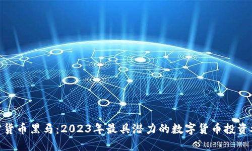 加密货币黑马：2023年最具潜力的数字货币投资机会