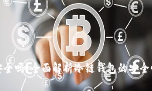 冷链钱包安全吗？全面解析冷链钱包的安全性与可靠性