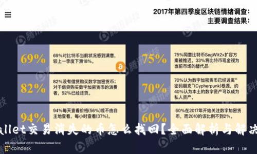 tpWallet交易消失的币怎么找回？全面解析与解决方案