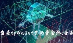 如何查看tpWallet里的资金池：全面指南