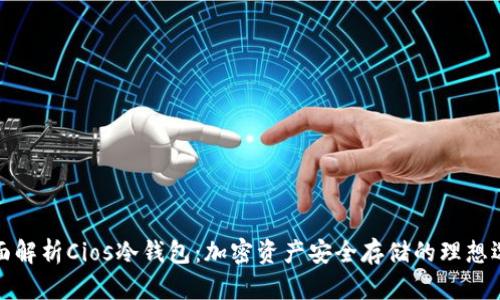 全面解析Cios冷钱包：加密资产安全存储的理想选择