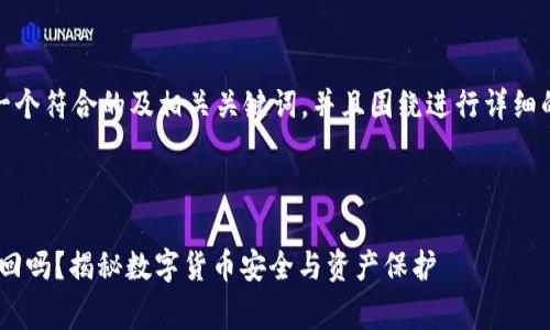 在这里，我将为您提供一个符合的及相关关键词，并且围绕进行详细的讨论和回答常见问题。

及关键词：

tpWallet被盗的u能找回吗？揭秘数字货币安全与资产保护