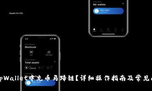 如何在tpWallet中充币马蹄链？详细操作指南及常见问题解答