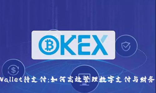  tpWallet待支付：如何高效管理数字支付与财务安全