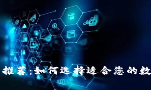 低手续费冷钱包推荐：如何选择适合您的数字资产存储方式