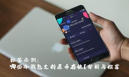 标签示例：
哪些冷钱包支持屎币存放？分析与推荐