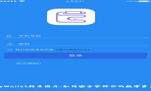tpWallet持币图片：如何安全管理你的数字资产