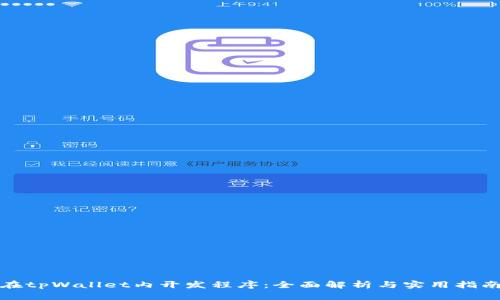 在tpWallet内开发程序：全面解析与实用指南