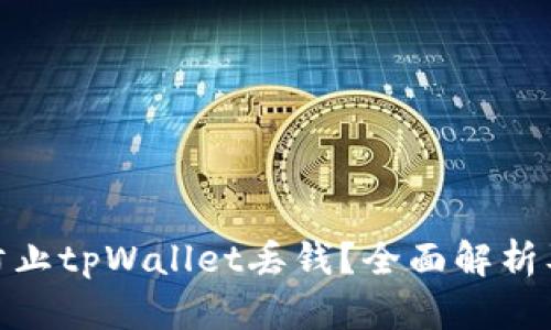 如何有效防止tpWallet丢钱？全面解析及防范措施